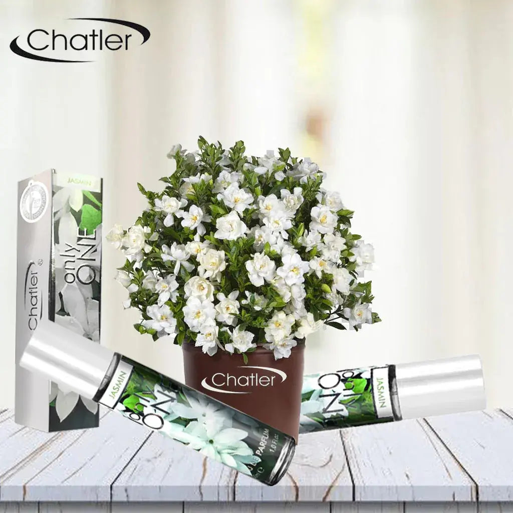 CHATLER Only One Jasmine 5X Eau De Parfum 30ml plus free tester - Ivory Luxe